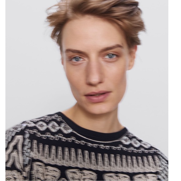 Zara Limited Edition Embroidered Dress Black/Ecru - Picture 6 of 12